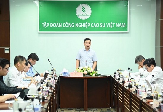 Xây dựng Đề án tái cơ cấu toàn diện Tập đoàn Công nghiệp Cao su Việt Nam