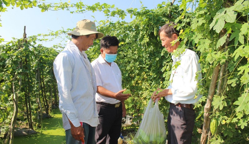 Nên giữ nguyên hay đổi tên Luật Hợp tác xã thành Luật Các tổ chức kinh tế hợp tác?