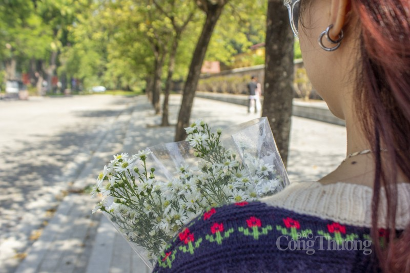 Những cánh cúc trắng muốt, e ấp dường như báo hiệu cho mùa Đông sắp đến. Vẻ đẹp ấy mỗi năm chỉ đến một lần Những cánh cúc trắng muốt, e ấp dường như báo hiệu cho mùa Đông sắp đến. Vẻ đẹp ấy mỗi năm chỉ đến một lần