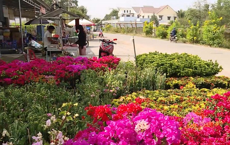 Bình Dương: Xây dựng nông thôn mới nâng cao gắn với mô hình “làng thông minh”