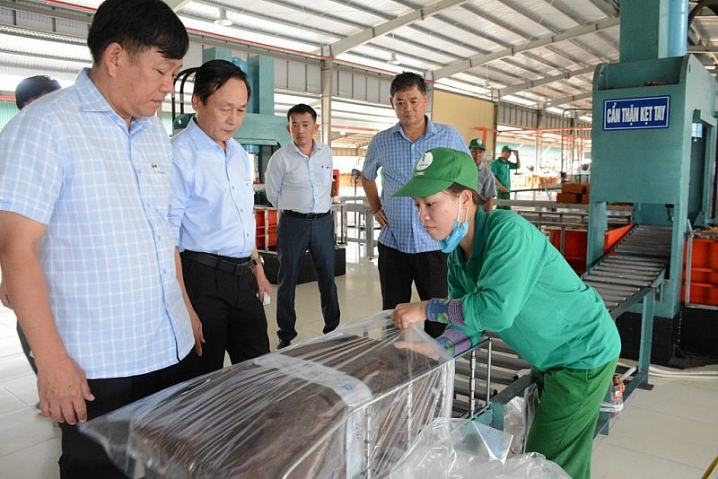 Lãnh đạo Công ty kiểm tra quy trình đóng gói sản phẩm cao su xuất khẩu