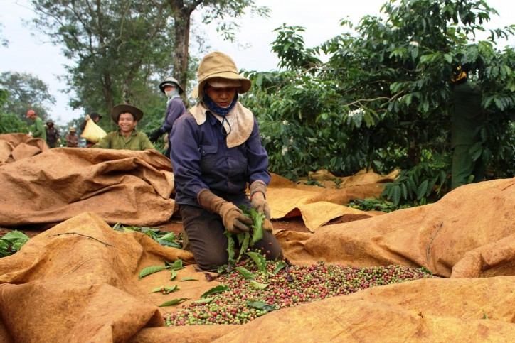 Đắk Lắk: Xã miền núi thuần nông Cư Dliê M’nông phấn đấu xây dựng xã nông thôn mới nâng cao