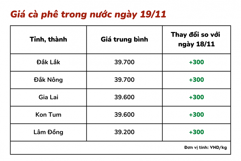 Giá cà phê hôm nay 19/11: Giá cà phê trong nước tăng nhẹ