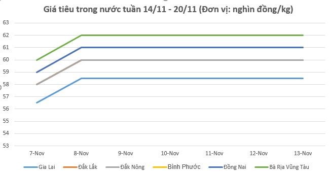 Giá tiêu hôm nay 20/11 và tổng kết tuần qua: Giá tiêu trong nước giảm 500 đồng/kg