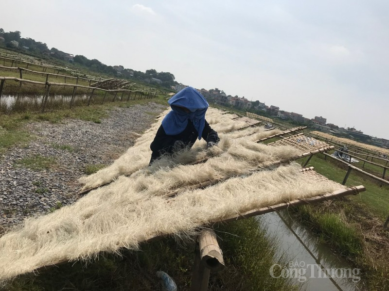 Tăng giá trị sản phẩm Miến Làng So nhờ sản xuất sạch