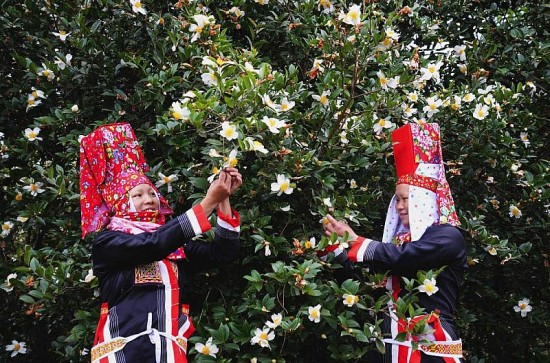 quang ninh phat trien ben vung vung san xuat nguyen lieu tu cay so