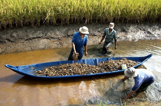 Lợi ích chuyển dịch phát thải ròng bằng 0 tại châu Á