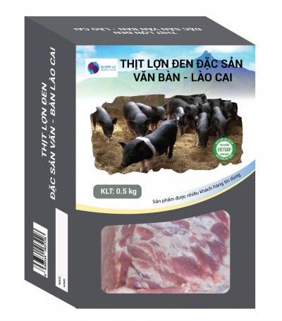 Lào Cai: Nâng cao giá trị lợn đen bản địa theo hướng hàng hóa