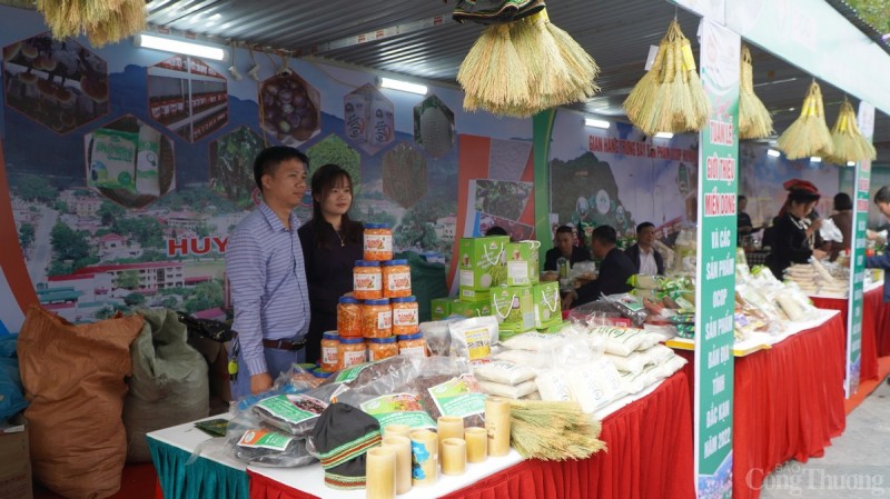 Hải Phòng: Khai mạc Tuần lễ giới thiệu Miến dong và các sản phẩm OCOP, sản phẩm bản địa Bắc Kạn Hải Phòng: Khai mạc Tuần lễ giới thiệu Miến dong và các sản phẩm OCOP, sản phẩm bản địa Bắc Kạn