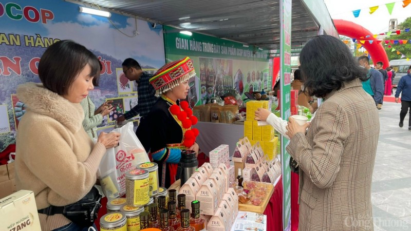 Hải Phòng: Khai mạc Tuần lễ giới thiệu Miến dong và các sản phẩm OCOP, sản phẩm bản địa Bắc Kạn Hải Phòng: Khai mạc Tuần lễ giới thiệu Miến dong và các sản phẩm OCOP, sản phẩm bản địa Bắc Kạn