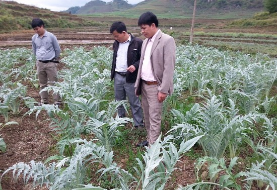 quan ba ha giang phat trien cac san pham ocop thuc day qua trinh xoa doi giam ngheo