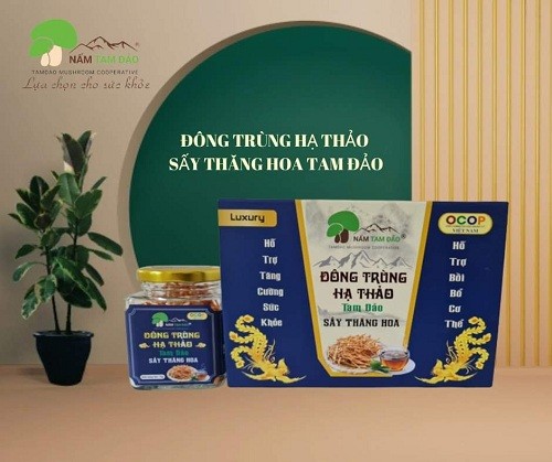 Vĩnh Phúc: Chàng nông dân khởi nghiệp từ mô hình “nuôi con, gặt cây”