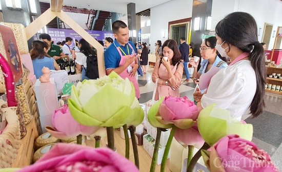 sap dien ra dien dan mekong startup lan i nam 2022 tai dong thap