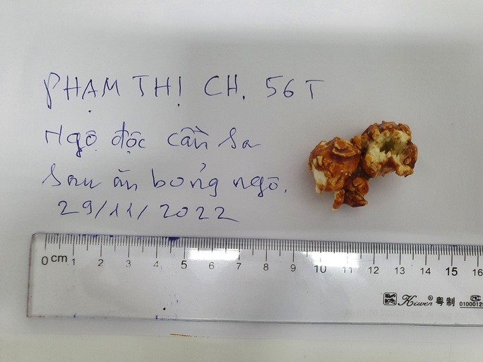 Ngộ độc ma túy trong thực phẩm và thuốc lá điện tử: Chính Phủ yêu cầu các Bộ liên quan vào cuộc