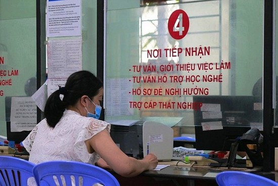 tp ho chi minh huong dan cac thu tuc huong tro cap that nghiep