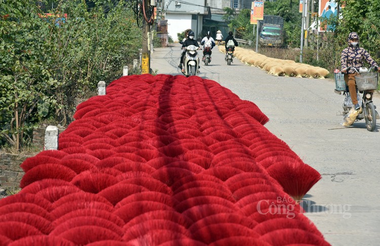 Nhộn nhịp làng hương Quảng Phú Cầu những tháng cuối năm Nhộn nhịp làng hương Quảng Phú Cầu những tháng cuối năm