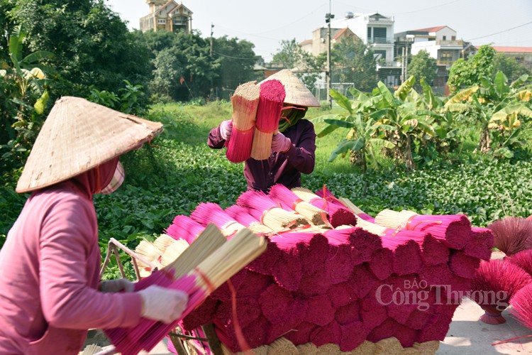 Nhộn nhịp làng hương Quảng Phú Cầu những tháng cuối năm Nhộn nhịp làng hương Quảng Phú Cầu những tháng cuối năm