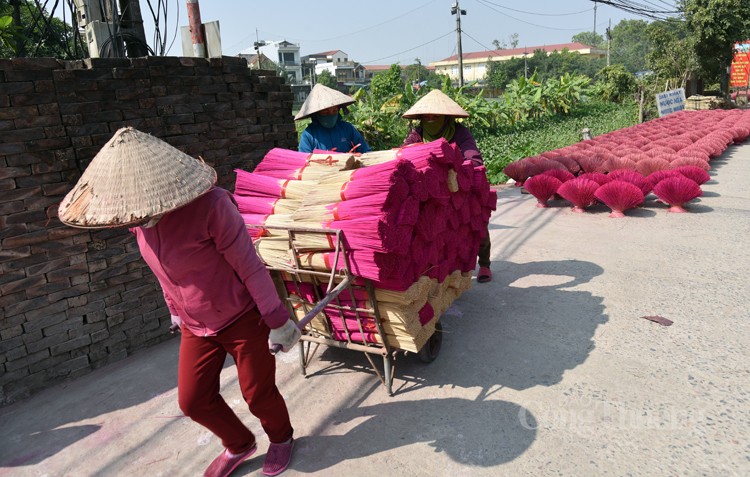 Nhộn nhịp làng hương Quảng Phú Cầu những tháng cuối năm Nhộn nhịp làng hương Quảng Phú Cầu những tháng cuối năm