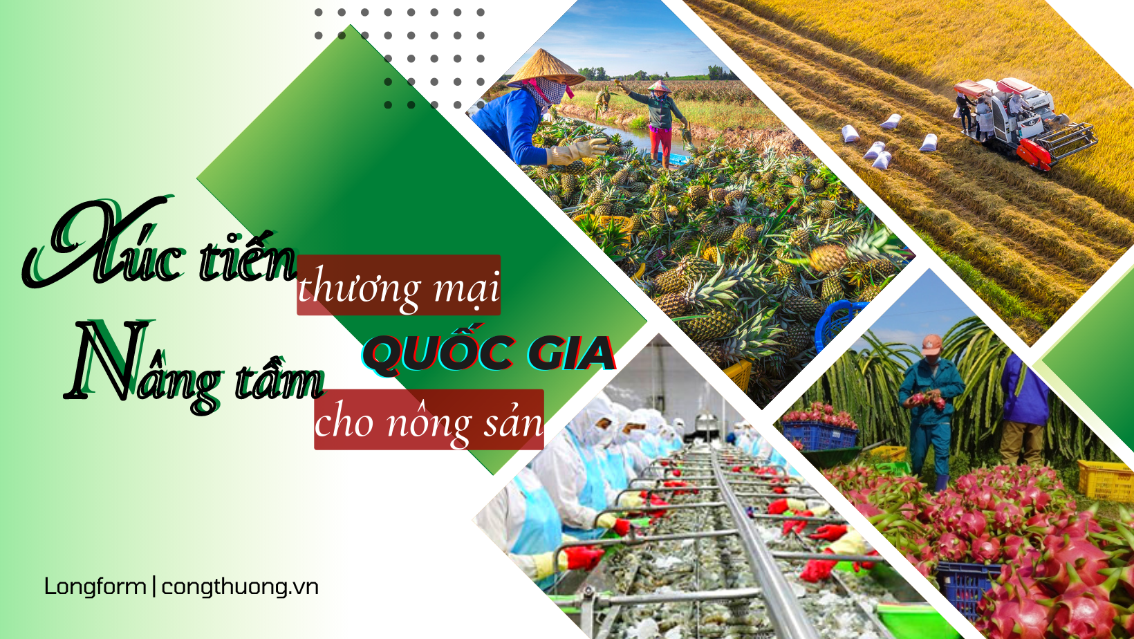 Longform | Xúc tiến thương mại quốc gia nâng tầm cho nông sản