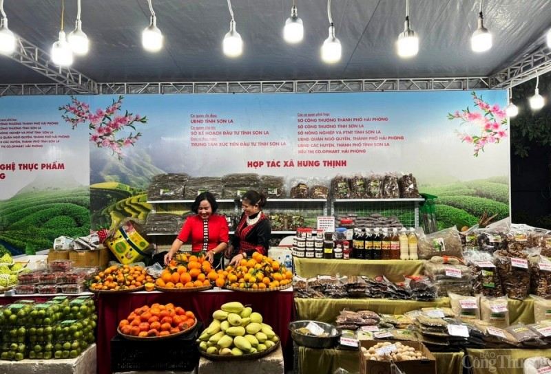 Tuần lễ quảng bá thương mại, du lịch và nông sản an toàn vùng đồng bào dân tộc thiểu số tỉnh Sơn La tại thành phố Hải Phòng Tuần lễ quảng bá thương mại, du lịch và nông sản an toàn vùng đồng bào dân tộc thiểu số tỉnh Sơn La tại thành phố Hải Phòng