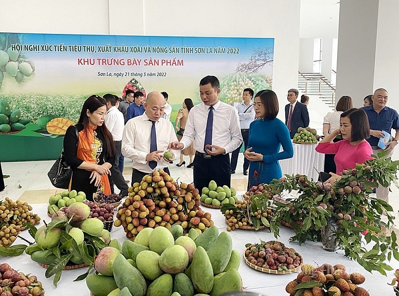 Tiếp tục phát huy hiệu quả công tác giao ban xúc tiến thương mại với hệ thống thương vụ