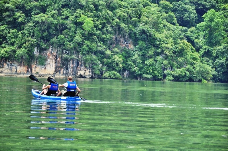 Tăng cường phòng, chống tội phạm về đa dạng sinh học đến năm 2030, tầm nhìn đến năm 2050