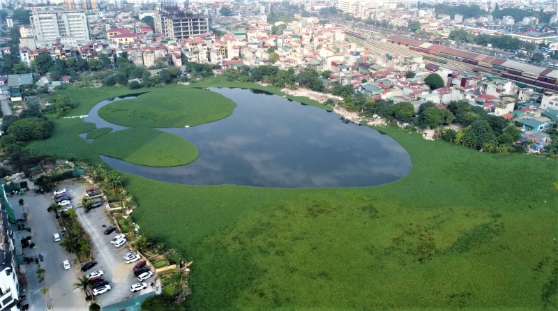 Bài 2: Cần hài hòa phát triển đô thị với giữ “lá phổi xanh”