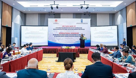 ngoai giao viet nam nam 2022 phat huy ban sac cay tre viet nam
