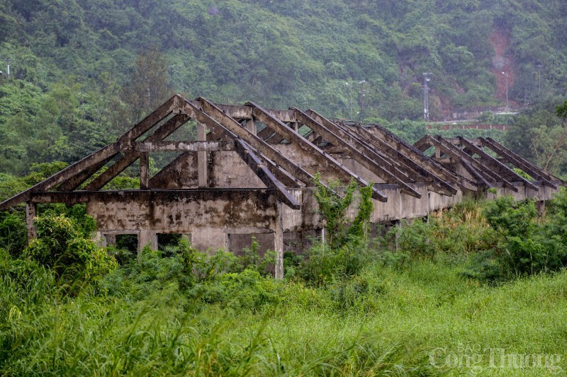 Cận cảnh loạt biệt thự hoang tàn trên 14ha 