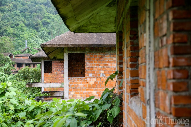 Cận cảnh loạt biệt thự hoang tàn trên 14ha