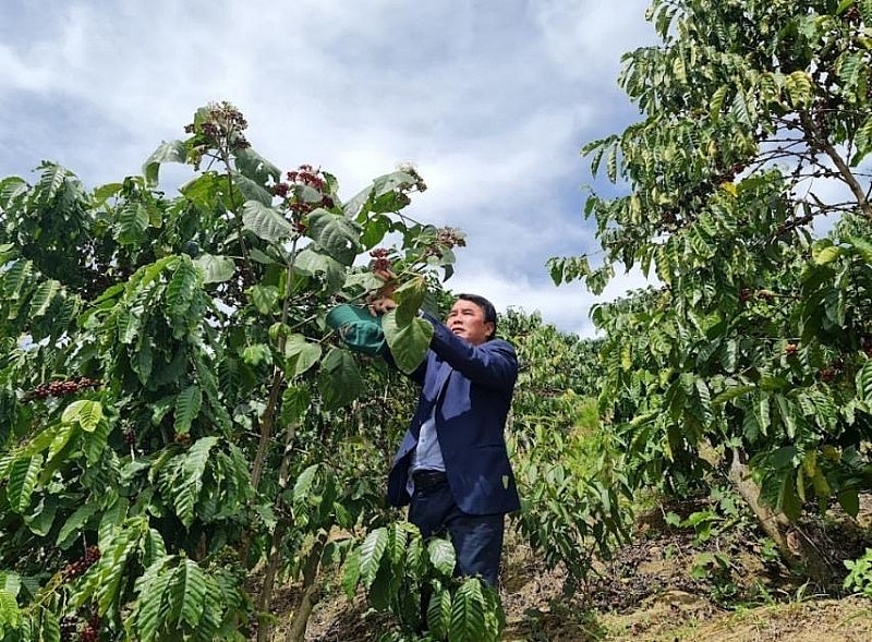 Nông nghiệp công nghệ cao - Hướng đi đúng để Lâm Đồng đột phá tham gia chuỗi cung ứng toàn cầu