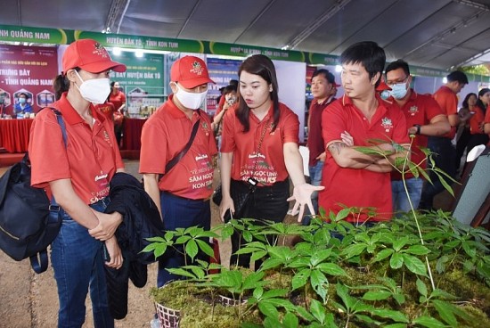 kon tum nguoi dan xo dang trong sam duoc huong loi tu phien cho sam ngoc linh lan thu 2