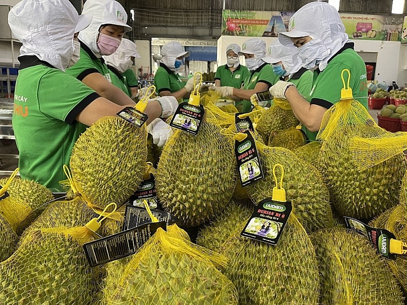 Dự báo, XK rau quả có nhiều điều kiện thuận lợi trong năm 2023.