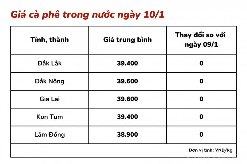 Giá cà phê hôm nay, 10/1: Giá cà phê trong nước đi ngang