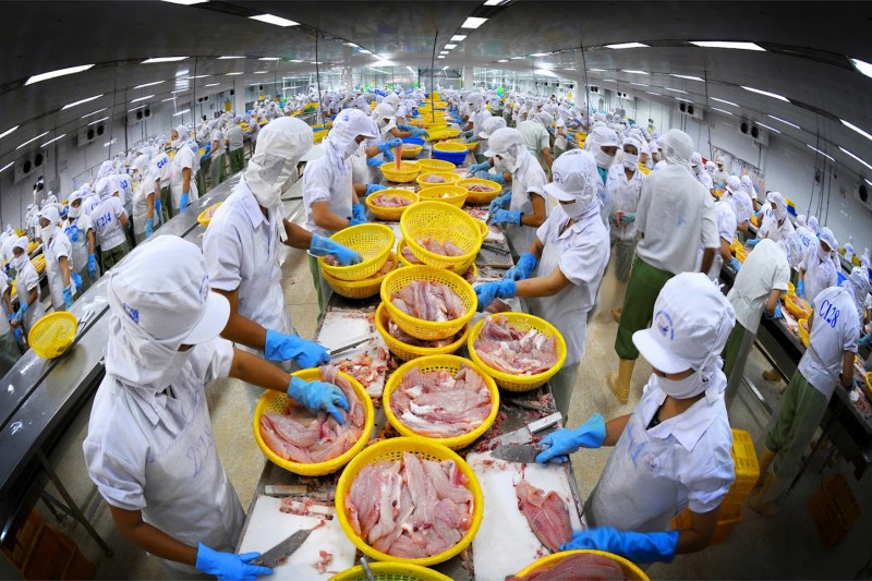 Chất lượng sản phẩm: Tăng tính minh bạch, đáp ứng hội nhập