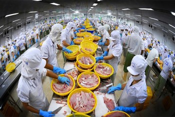 Chất lượng sản phẩm: Tăng tính minh bạch, đáp ứng hội nhập