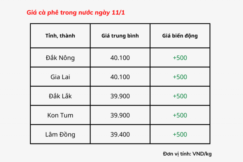 Giá cà phê hôm nay, 11/1: Giá cà phê trong nước tăng mạnh