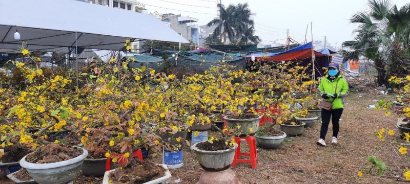 Thời tiết miền Bắc đang ấm dần lên, Hà Nội mưa nhỏ và sương mù