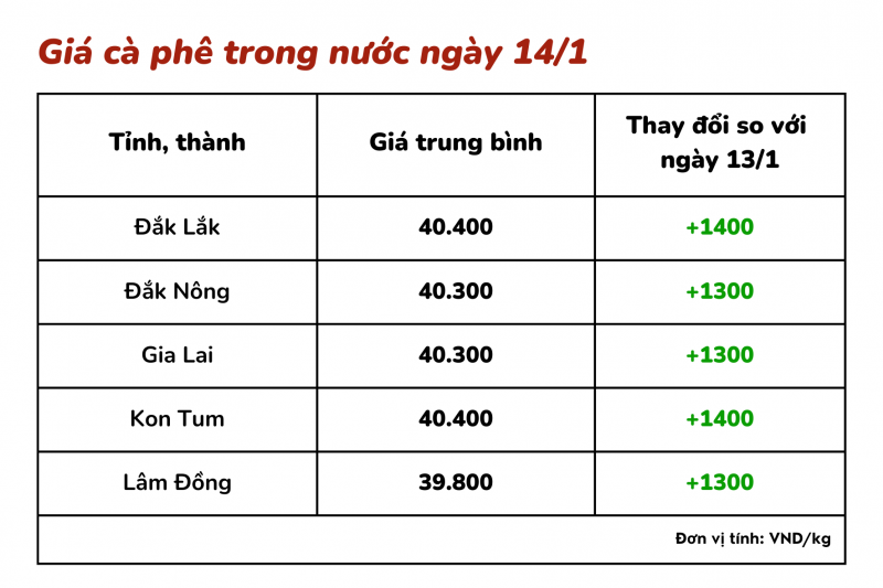 Giá cà phê hôm nay, 14/1: Giá cà phê trong nước tăng mạnh, vượt mốc 40.000 đồng/kg