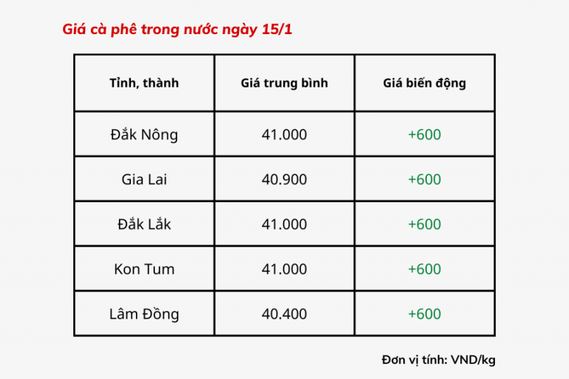 Giá cà phê hôm nay, 15/1: Giá cà phê trong nước cao nhất 41.000 đồng/kg