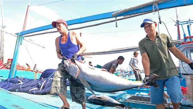 Thuong mai, xuat khau va dau tu la dong luc tang truong cua Viet Nam hinh anh 1
