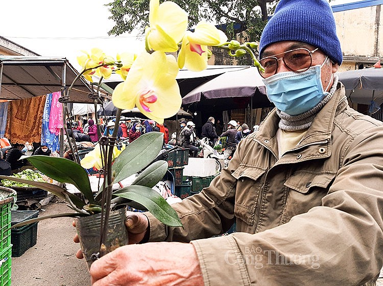 Đi phiên chợ Mơ, mang Xuân về nhà