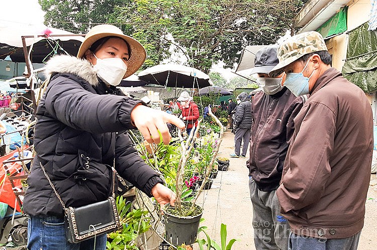 Như một nốt trầm giữa những ồn ào phố thị, phiên chợ Mơ là nơi người Hà Nội bây giờ tìm đến như một thú vui tao nhã, một nơi giao lưu buôn bán mang đậm chất người Kẻ chợ xưa.