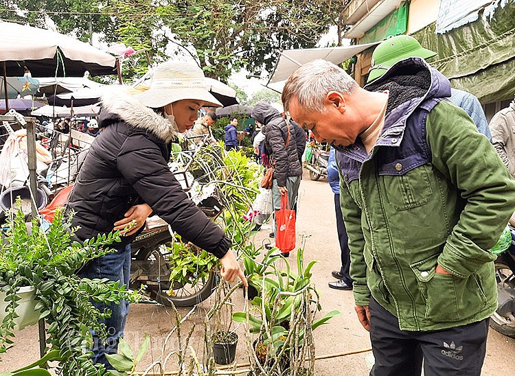 Đến phiên chợ Mơ vào sáng sớm mới cảm nhận được hết cái không khí của thú vui chơi chợ, bởi từ lâu chợ Mơ là điểm đến của những ‘dân chơi’ thú nuôi, cây cảnh. 