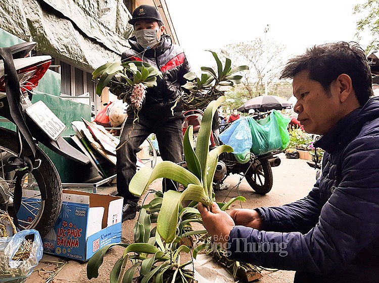 Một góc của chợ đầu mối phía Nam, nơi các chú, các anh đang đi phiên chợ Mơ cuối cùng trong năm. Hoa, cây cảnh được các chú, các anh lựa chọn.