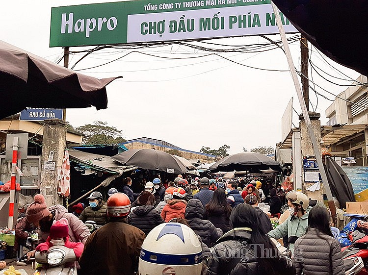 Đối với những chợ đầu mối đã được đầu tư, xây dựng và đang hoạt động trước khi Nghị định này có hiệu lực được tiếp tục hoạt động theo dự án đầu tư.