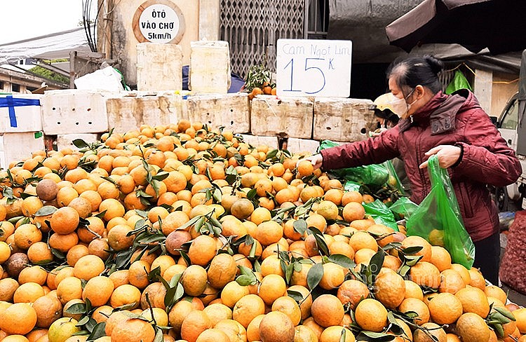 Cam năm nay được mùa, giá bán khá rẻ, 15.000 đồng/kg