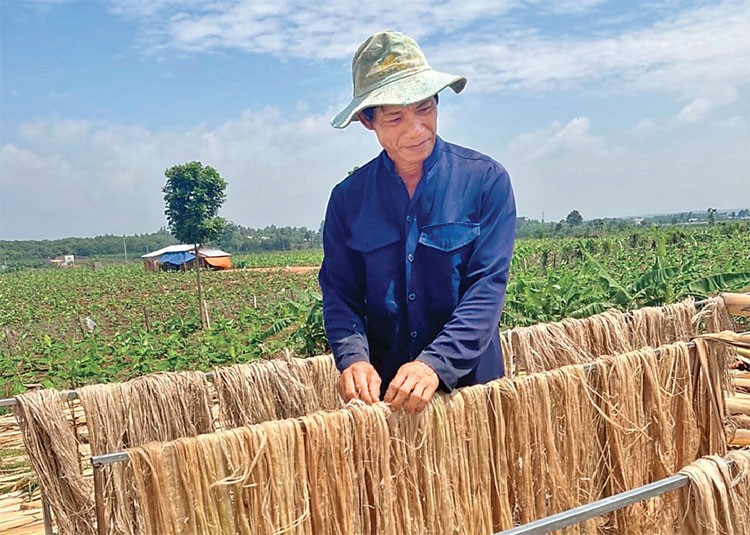 Biến mùn cưa, bẹ chuối, bã cà phê thành "vàng"