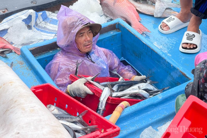 Ngư dân miền Trung vươn khơi xuyên Tết, đón giao thừa trên biển