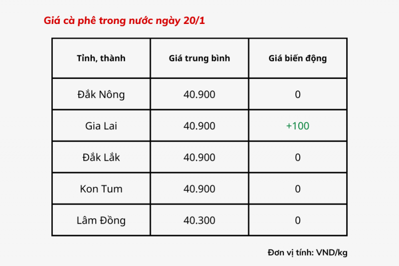 Giá cà phê hôm nay, 20/1: Giá cà phê trong nước không nhiều biến động